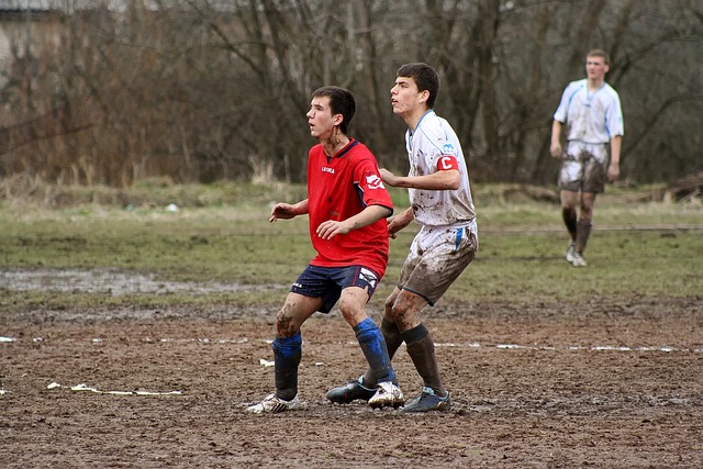 在全球范围 在全球范围