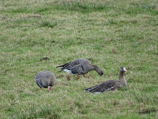 原因在于亚 原因在于亚