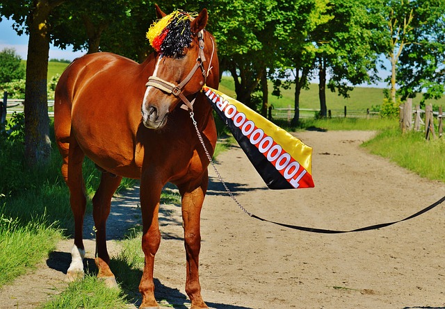 了光明的前 了光明的前