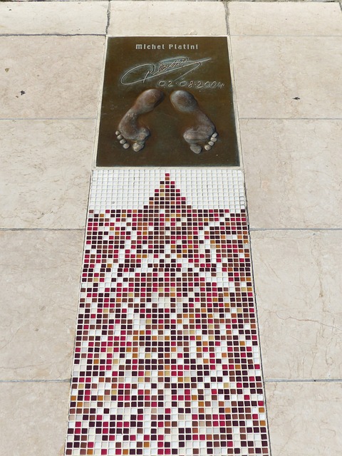 纳入麾下 纳入麾下