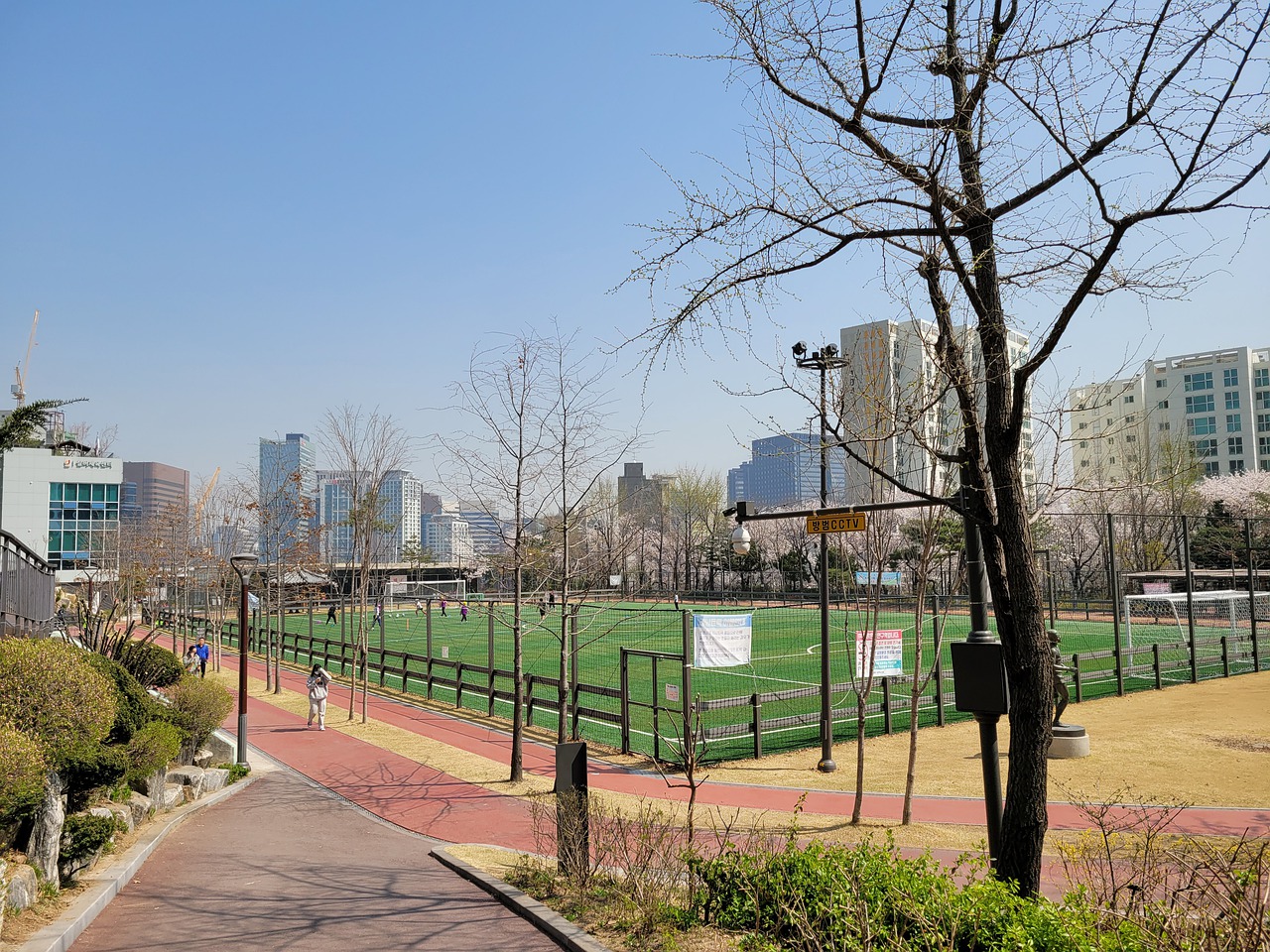 近年来在国 近年来在国