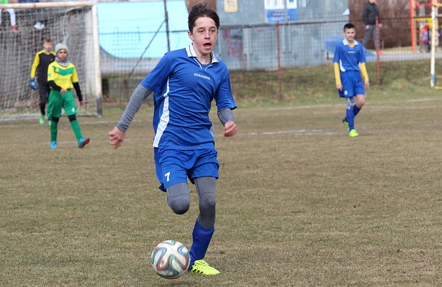 這位中國羽 這位中國羽